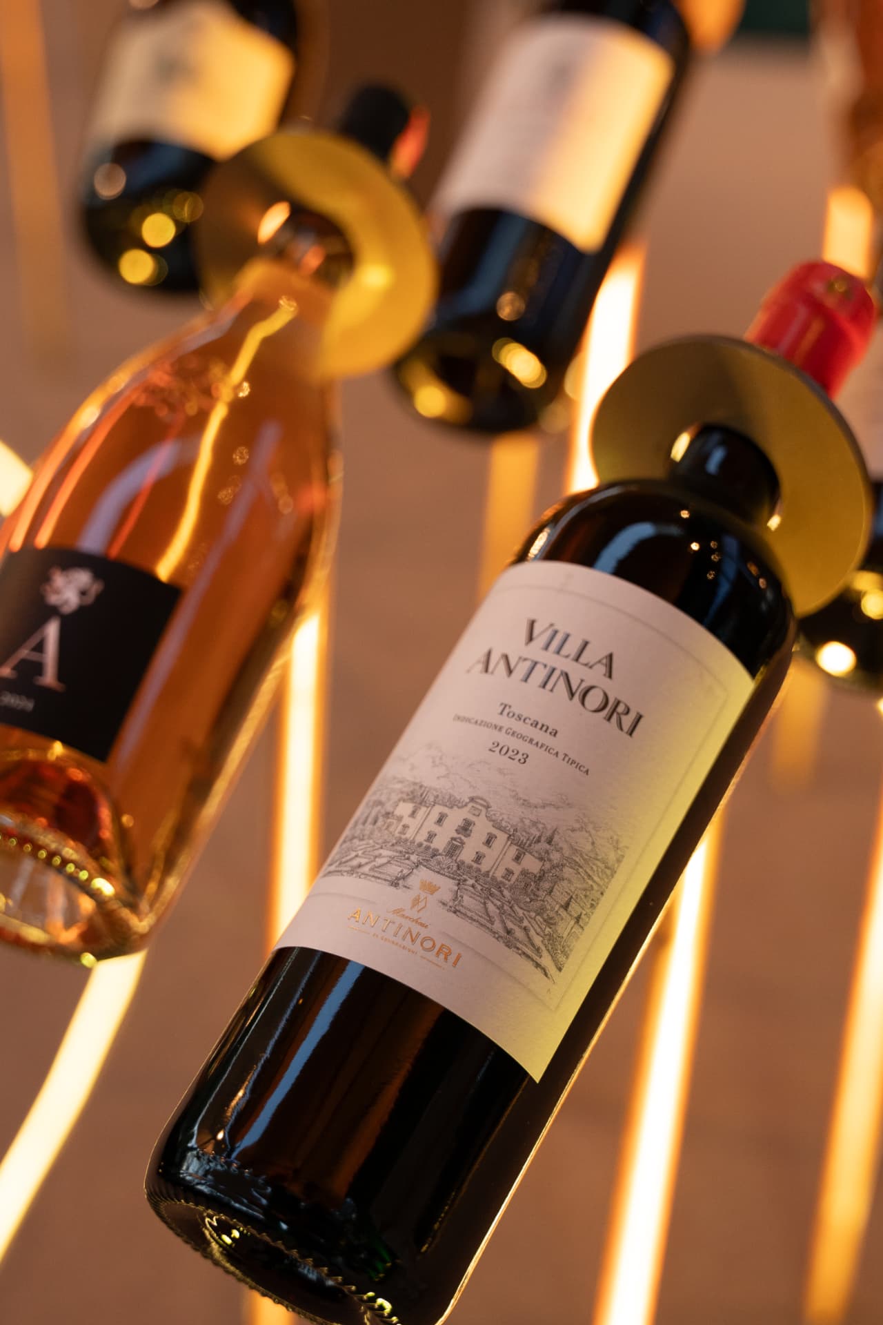 Row of red, rosé and white wine bottles displayed above warm amber light lines